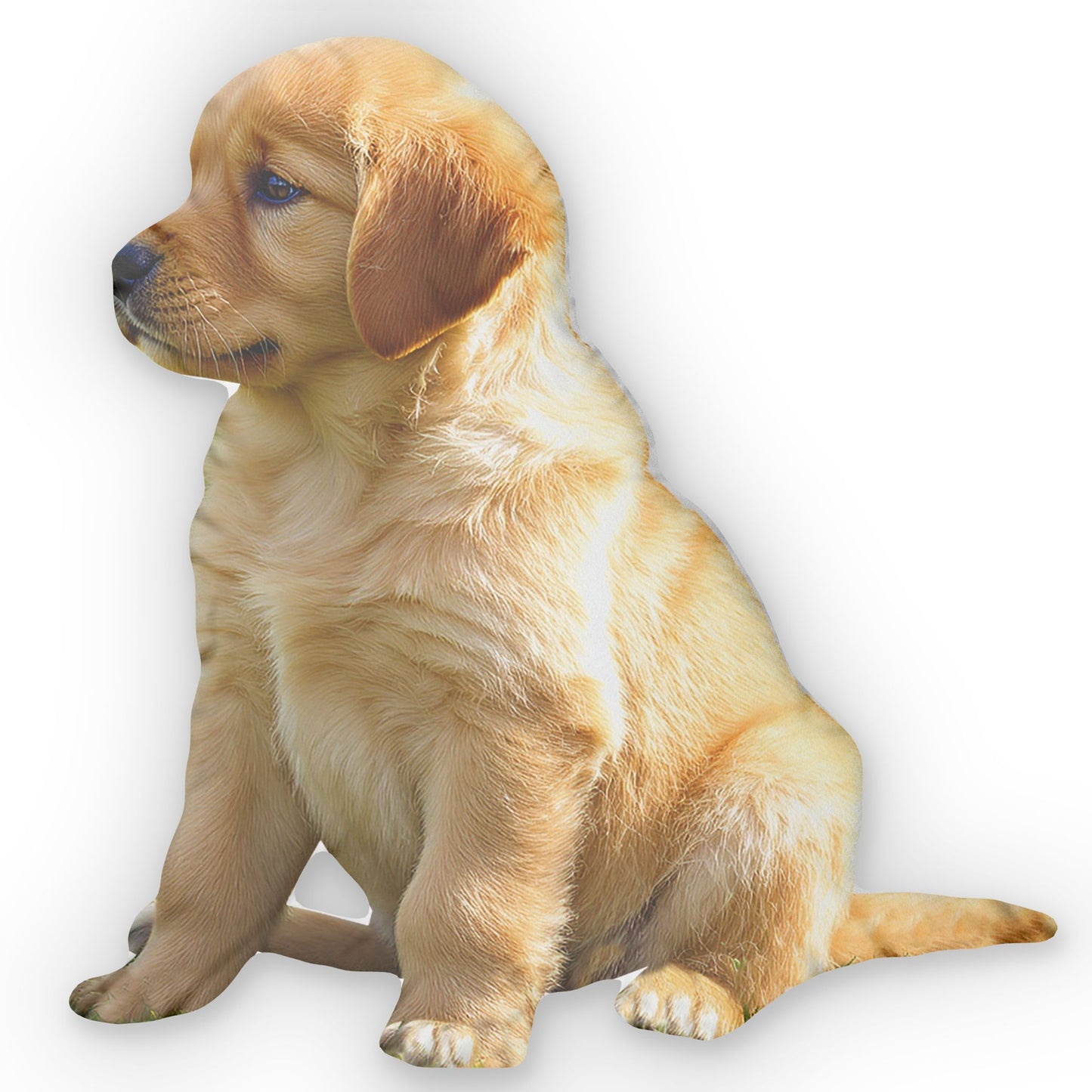 Golden Retriever Puppy Custom Shaped Pillows - Cute Animal Lover Home Decor, Dog Pillow, Soft Pet Cushion, Unique Gift for Pet Owners,