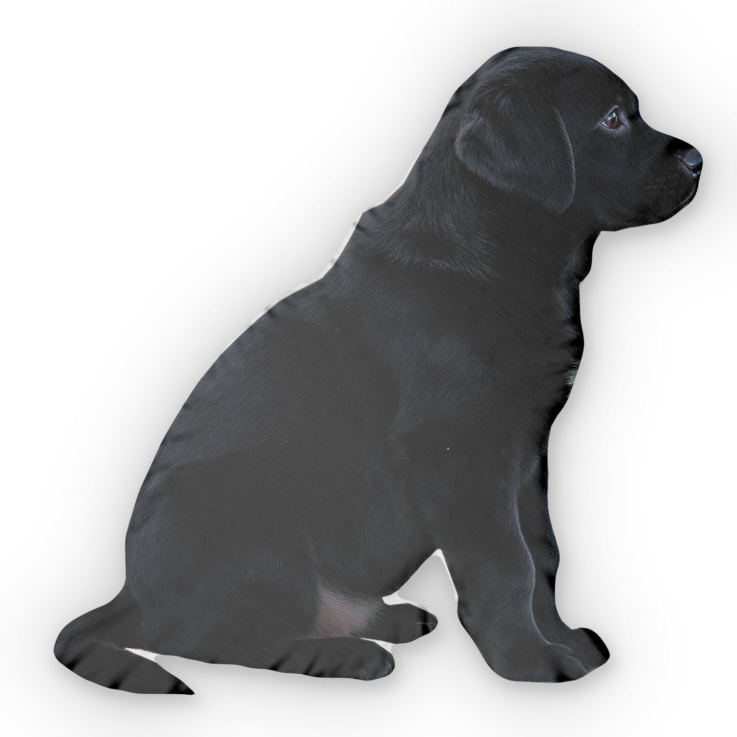 Labrador Retriever Puppy Shaped Pillow, Custom Dog Pillow, Animal Decor, Cute Pet Cushion, Throw Pillow for Dog Lovers